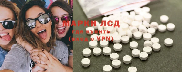 spice Ельня
