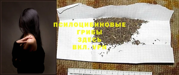 ешки Елизово