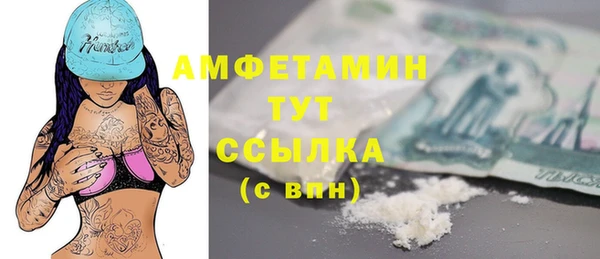 spice Ельня