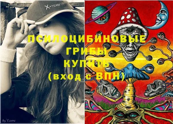 spice Ельня