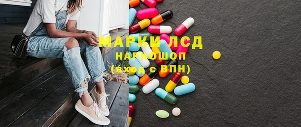 spice Ельня