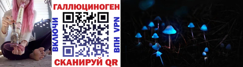 наркотики  Копейск  Галлюциногенные грибы Psilocybe 